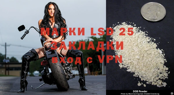 spice Касимов