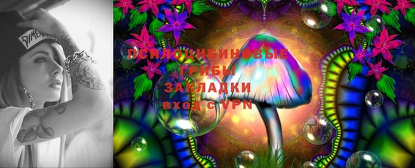 spice Касимов