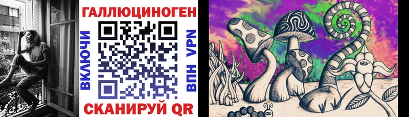Псилоцибиновые грибы Psilocybe  Купить закладки  Задонск 